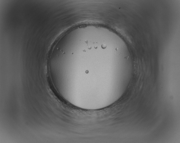 X0000073410015200608181107