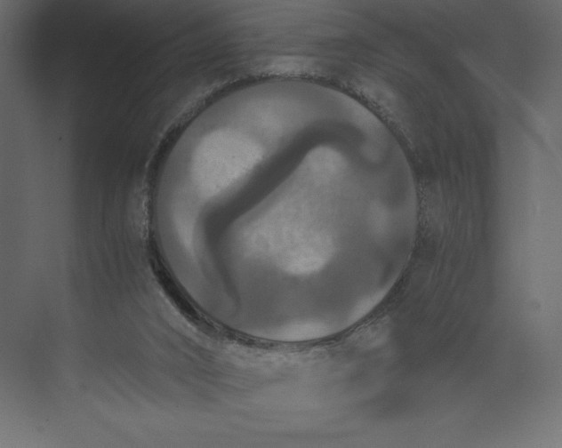 X0000073410016200608181107