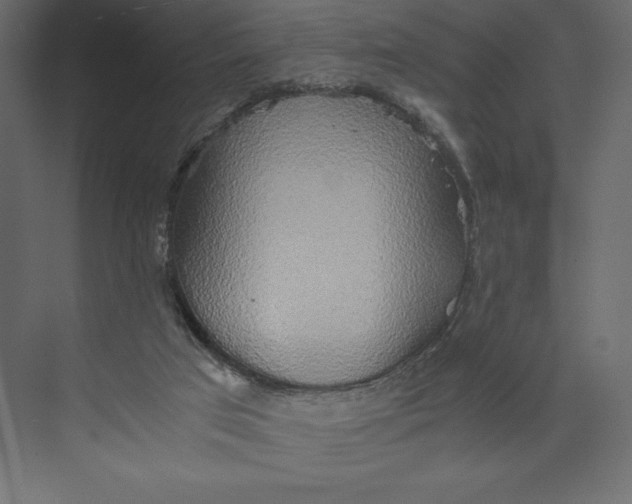 X0000073410017200608181107