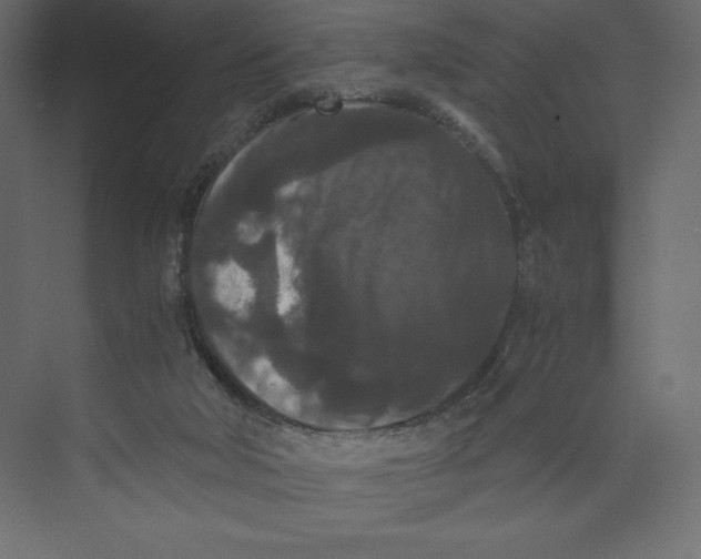 X0000073410018200608181107