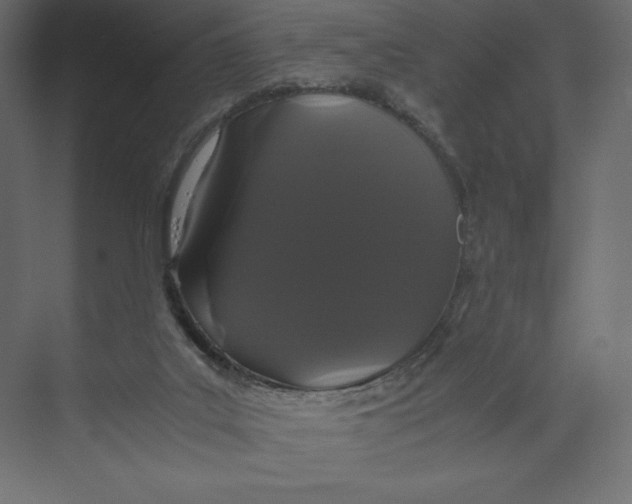 X0000073410019200608181107