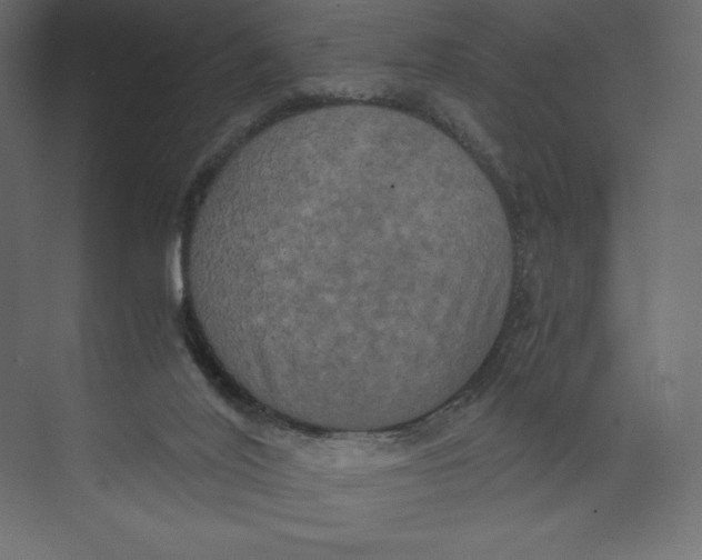 X0000073410020200608181107