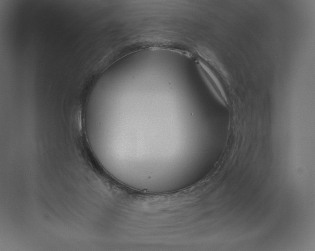 X0000073410021200608181107