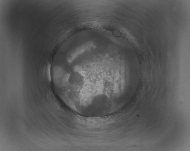 X0000073410022200608181107