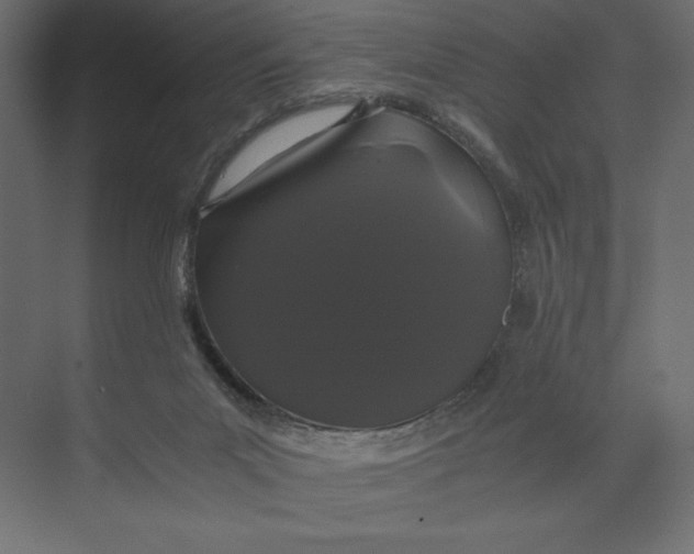 X0000073410023200608181107