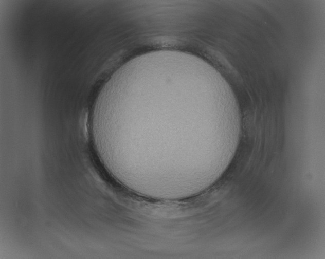 X0000073410024200608181107