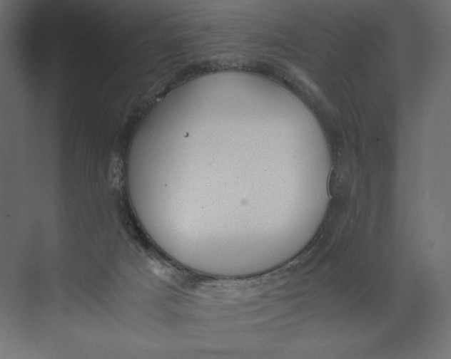 X0000073410025200608181107