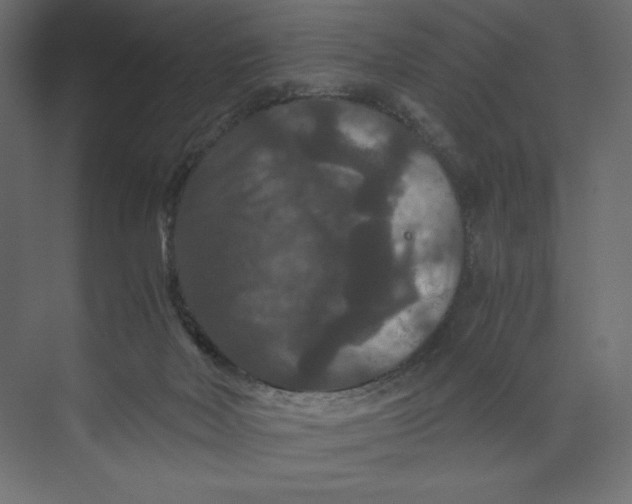 X0000073410026200608181107