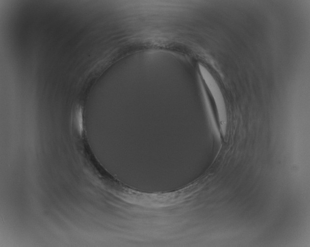 X0000073410027200608181107