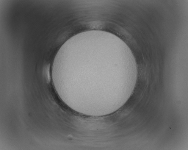 X0000073410028200608181107