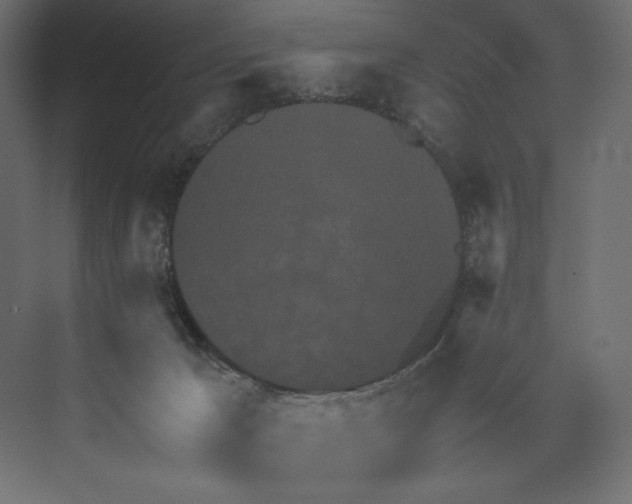 X0000073410029200608181107