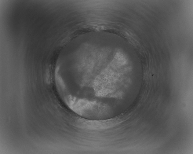 X0000073410030200608181107