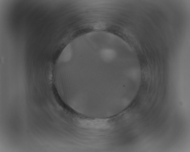 X0000073410032200608181107