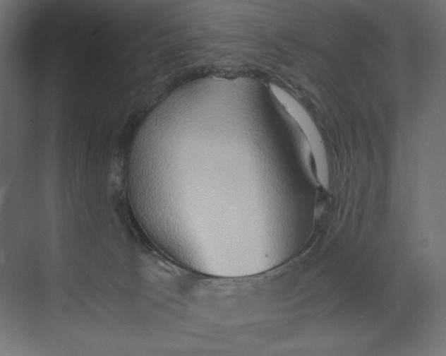 X0000073410033200608181107