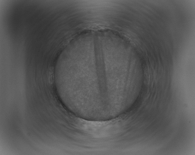 X0000073410034200608181107