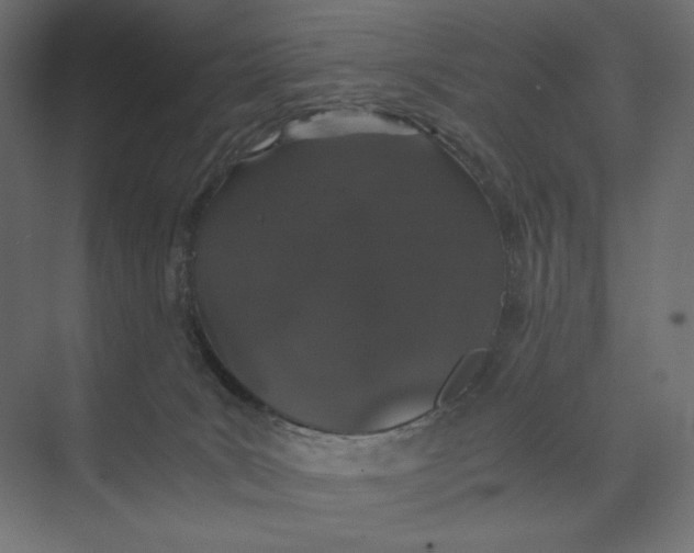 X0000073410035200608181107