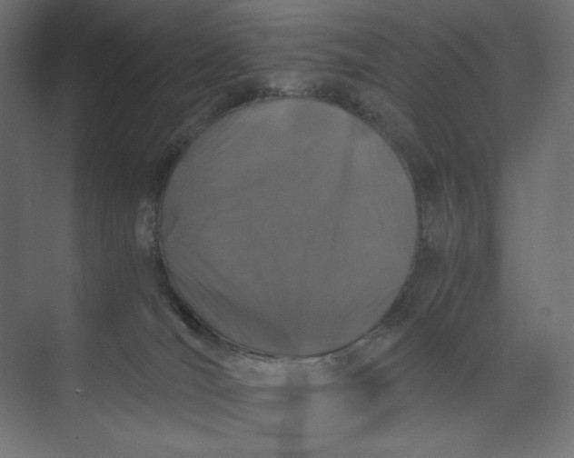 X0000073410036200608181106