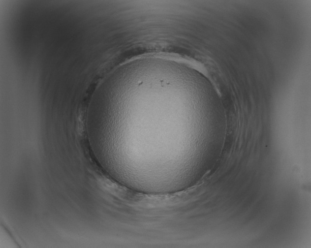 X0000073410037200608181106