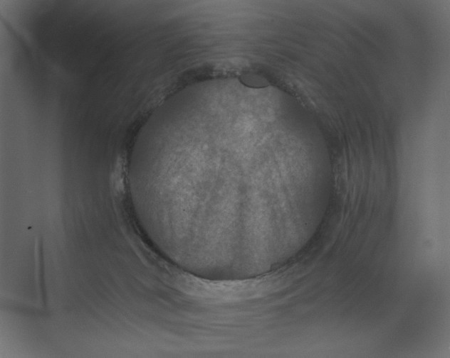 X0000073410038200608181106