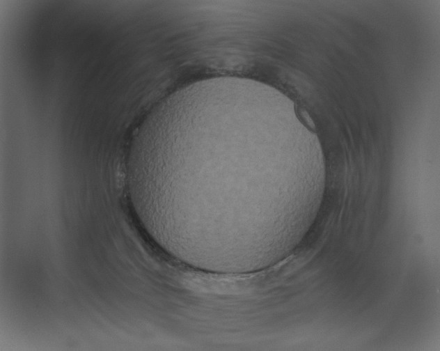 X0000073410040200608181106