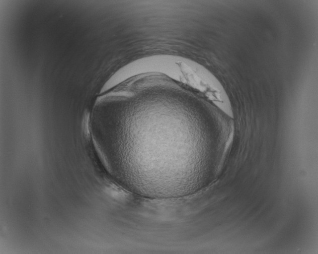 X0000073410041200608181106