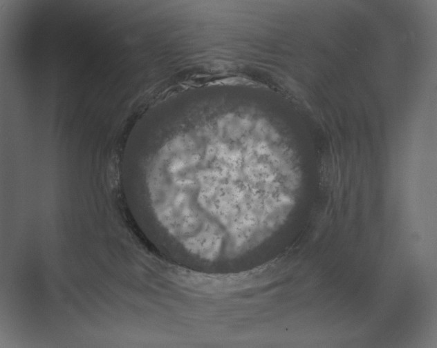 X0000073410043200608181106