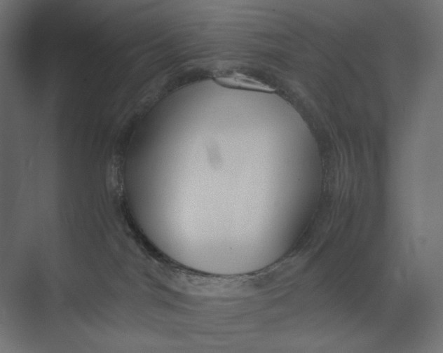 X0000073410044200608181106