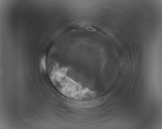 X0000073410046200608181106