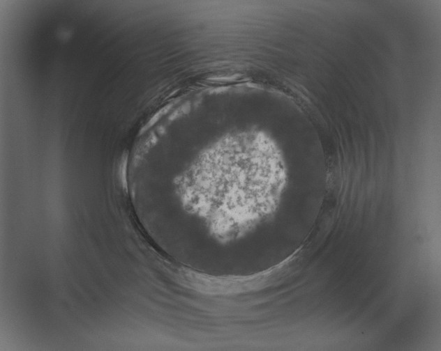 X0000073410047200608181106