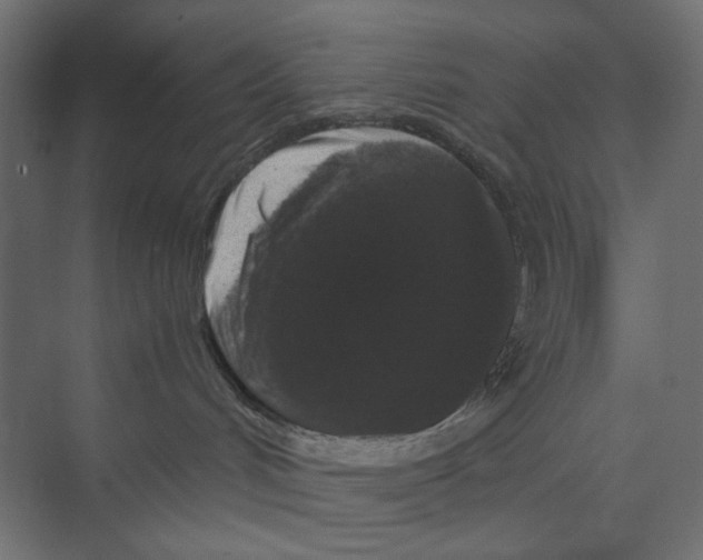 X0000073410048200608181106