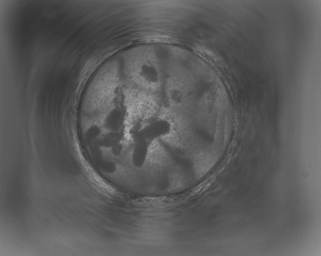 X0000073410049200608181105