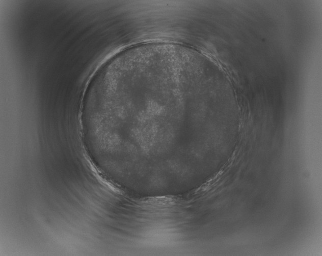 X0000073410050200608181105