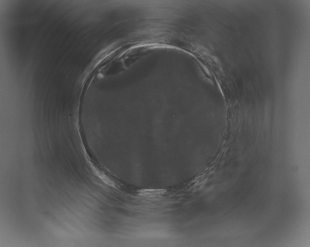 X0000073410051200608181106