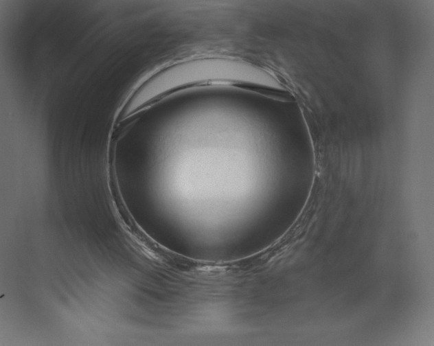 X0000073410052200608181106