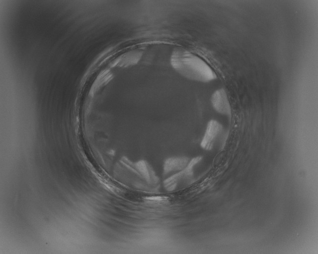 X0000073410053200608181106