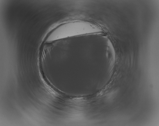 X0000073410054200608181106