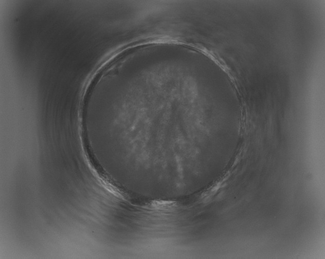 X0000073410055200608181106