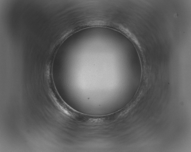 X0000073410057200608181106