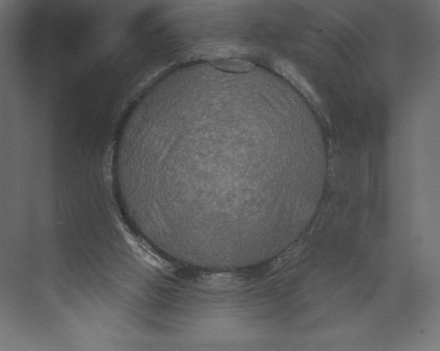 X0000073410058200608181106