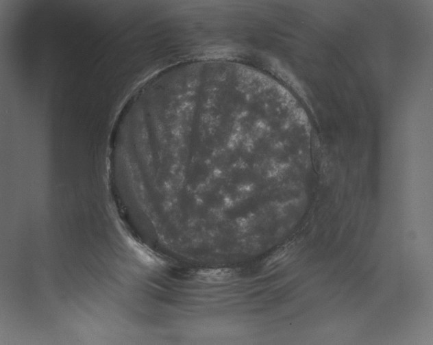 X0000073410059200608181106