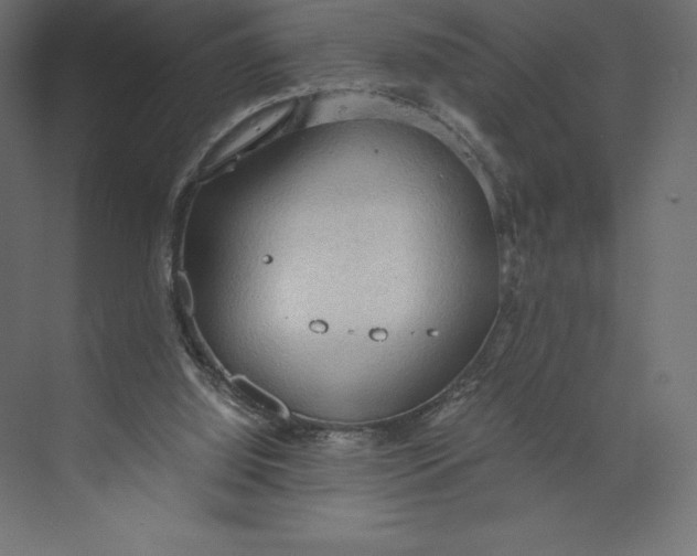 X0000073410060200608181106