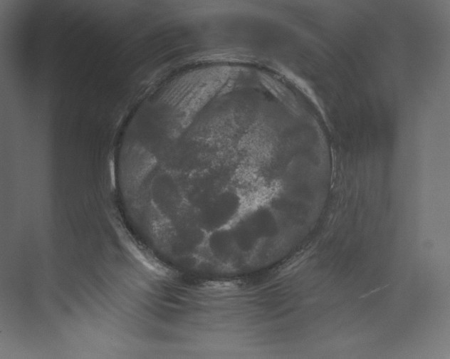 X0000073410061200608181106