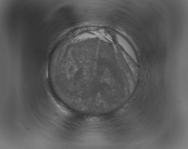 X0000073410062200608181106