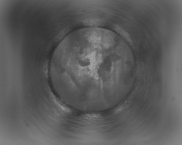 X0000073410065200608181106