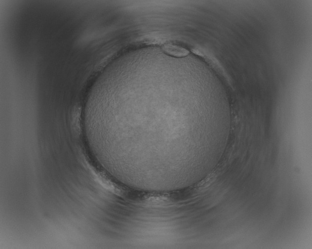 X0000073410066200608181106