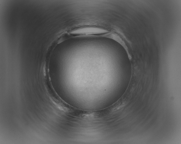 X0000073410068200608181106