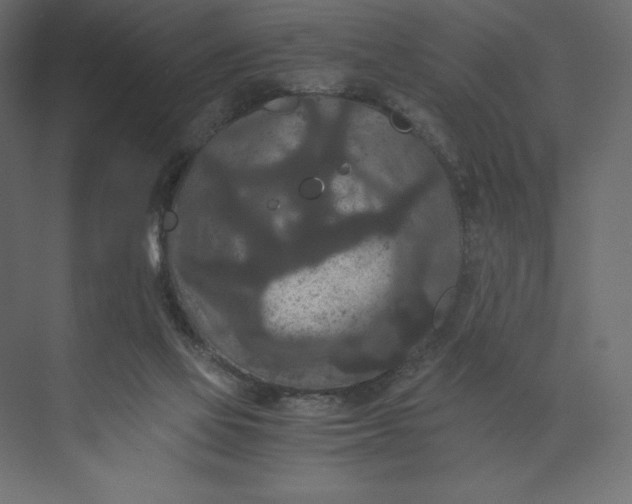 X0000073410069200608181106