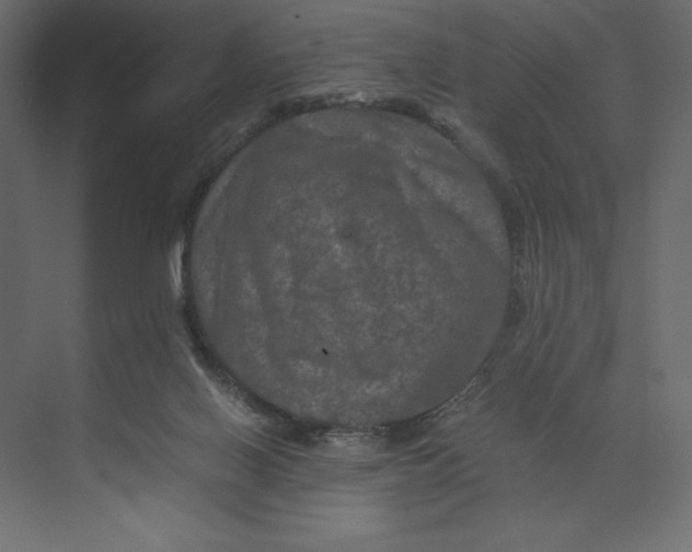 X0000073410070200608181106