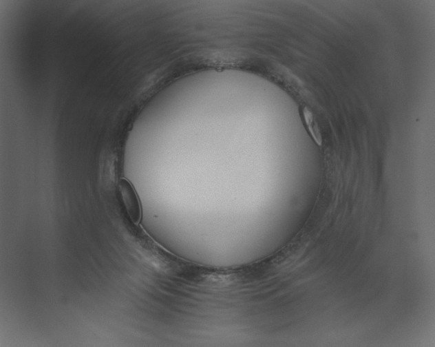 X0000073410071200608181106