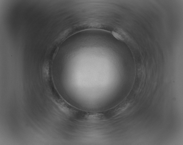 X0000073410072200608181106